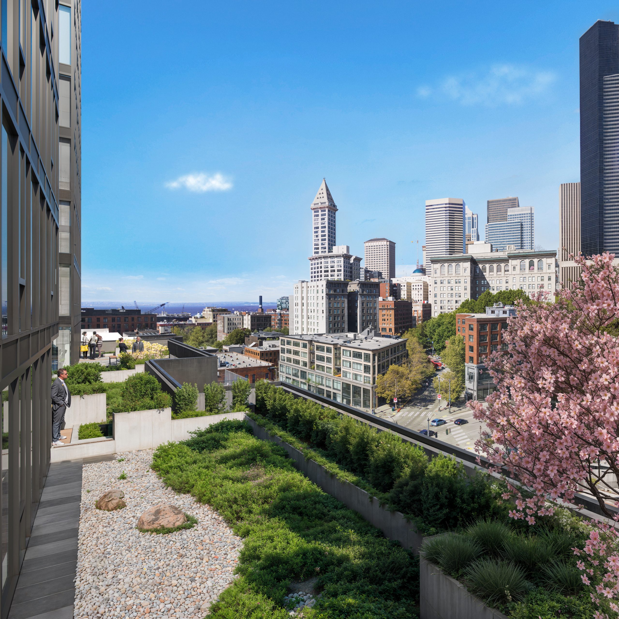 KODA Condos Seattle landscaped terrace and zen garden architectural rendering by Bogza.com. A sunny daytime view from the podium's elevated outdoor amenity deck, featuring a vibrant pink cherry blossom tree, native plantings, and a resident overlooking the surrounding historic Japantown neighborhood and Elliott Bay.